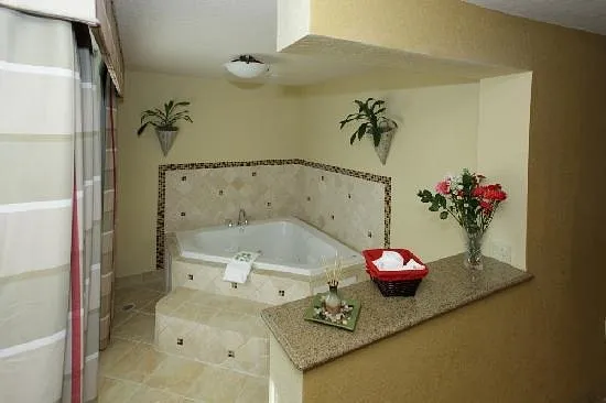 Image of Country Inn & Suites by Radisson, Tampa Airport North with hot tub in room