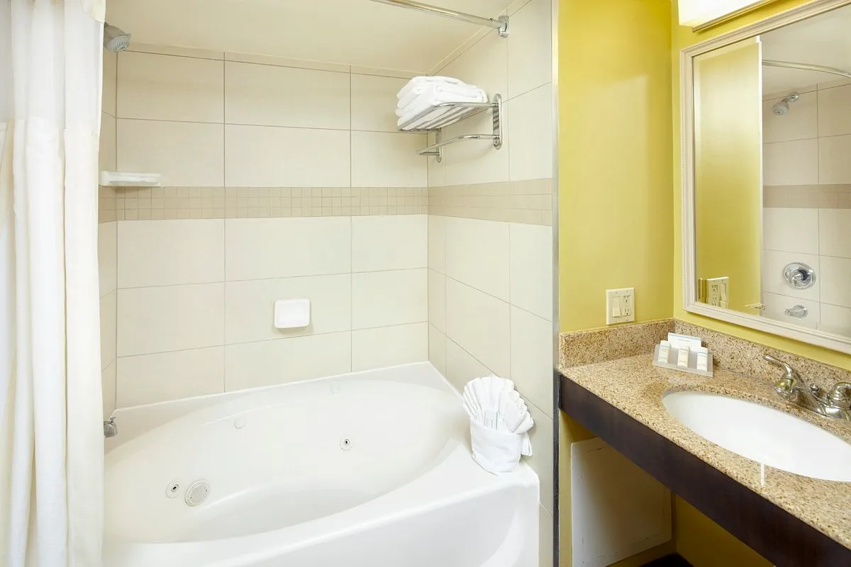 Image of Hilton Garden Inn Tampa East/Brandon with hot tub in room