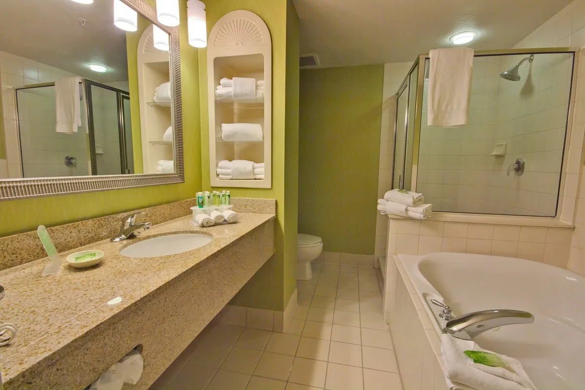 Image of Holiday Inn Express & Suites Tampa-I-75 with hot tub in room
