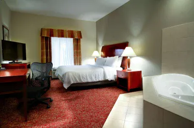 Image of Hilton Garden Inn Elkhart with hot tub in room
