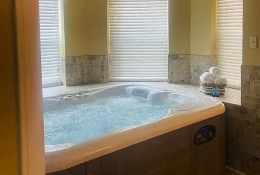 Image of Senate Luxury Suites with hot tub in room