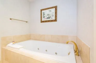 Image of The Cook Hotel and Conference Center at LSU with hot tub in room