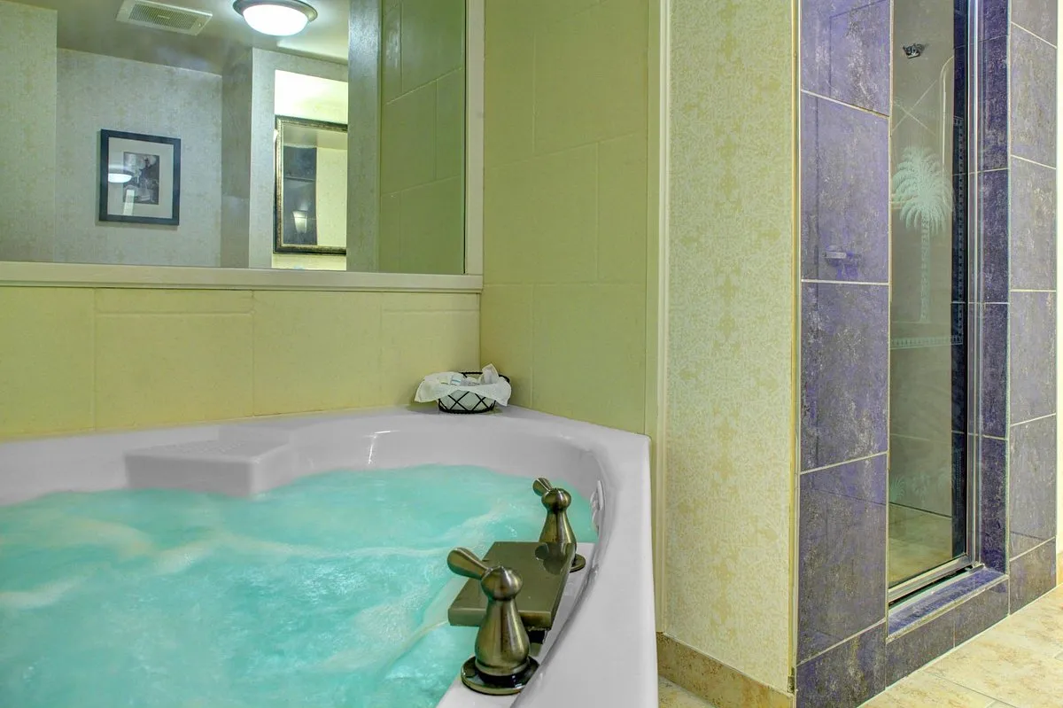 Image of Hampton Inn Columbia – Downtown Historic District with hot tub in room