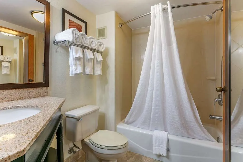 Image of Comfort Inn Downtown with hot tub in room